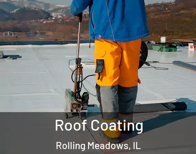  Roof Coating Rolling Meadows, IL