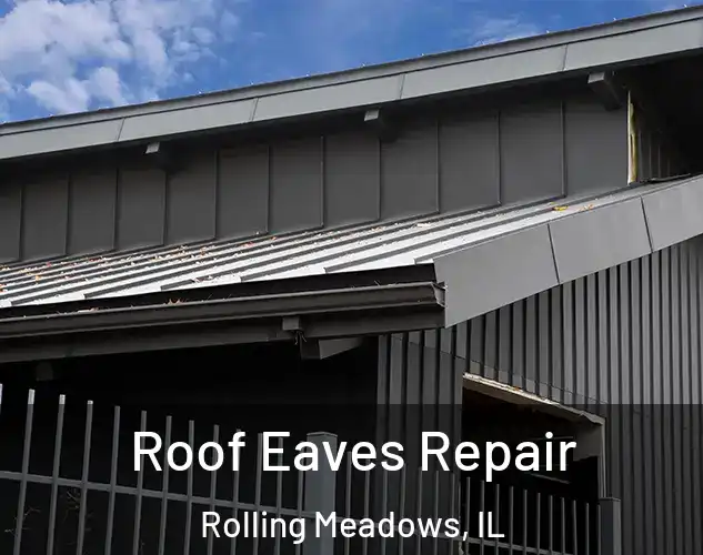  Roof Eaves Repair Rolling Meadows, IL