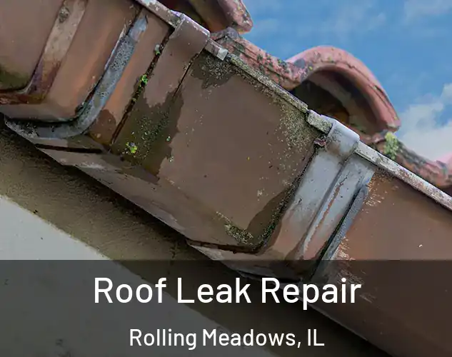  Roof Leak Repair Rolling Meadows, IL