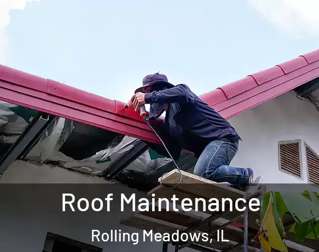  Roof Maintenance Rolling Meadows, IL