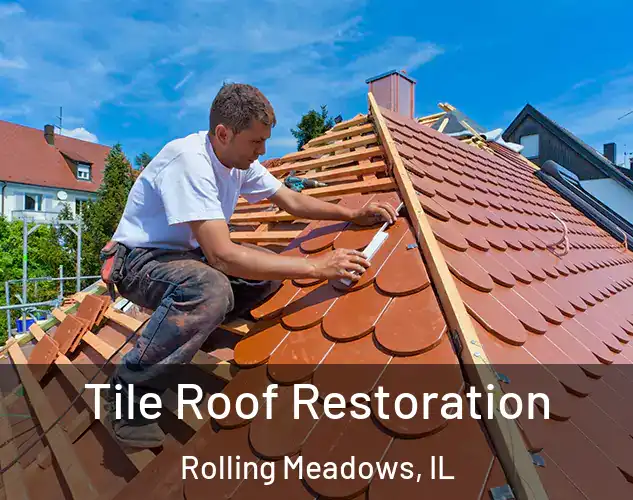  Tile Roof Restoration Rolling Meadows, IL